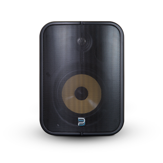 BLUESOUND PROFESSIONAL BSP1000 PoE Streaming Outdoor Speaker