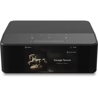 BLUESOUND Node Icon N530