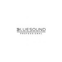 Bluesound Professional